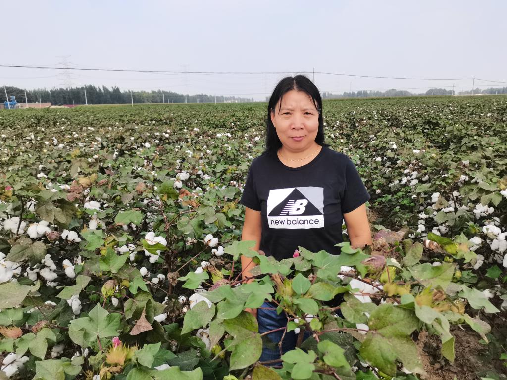 生物科学省一流专业负责人 白志英